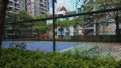 深圳鹿鸣园爆料事件视频,视频揭露惊人内幕